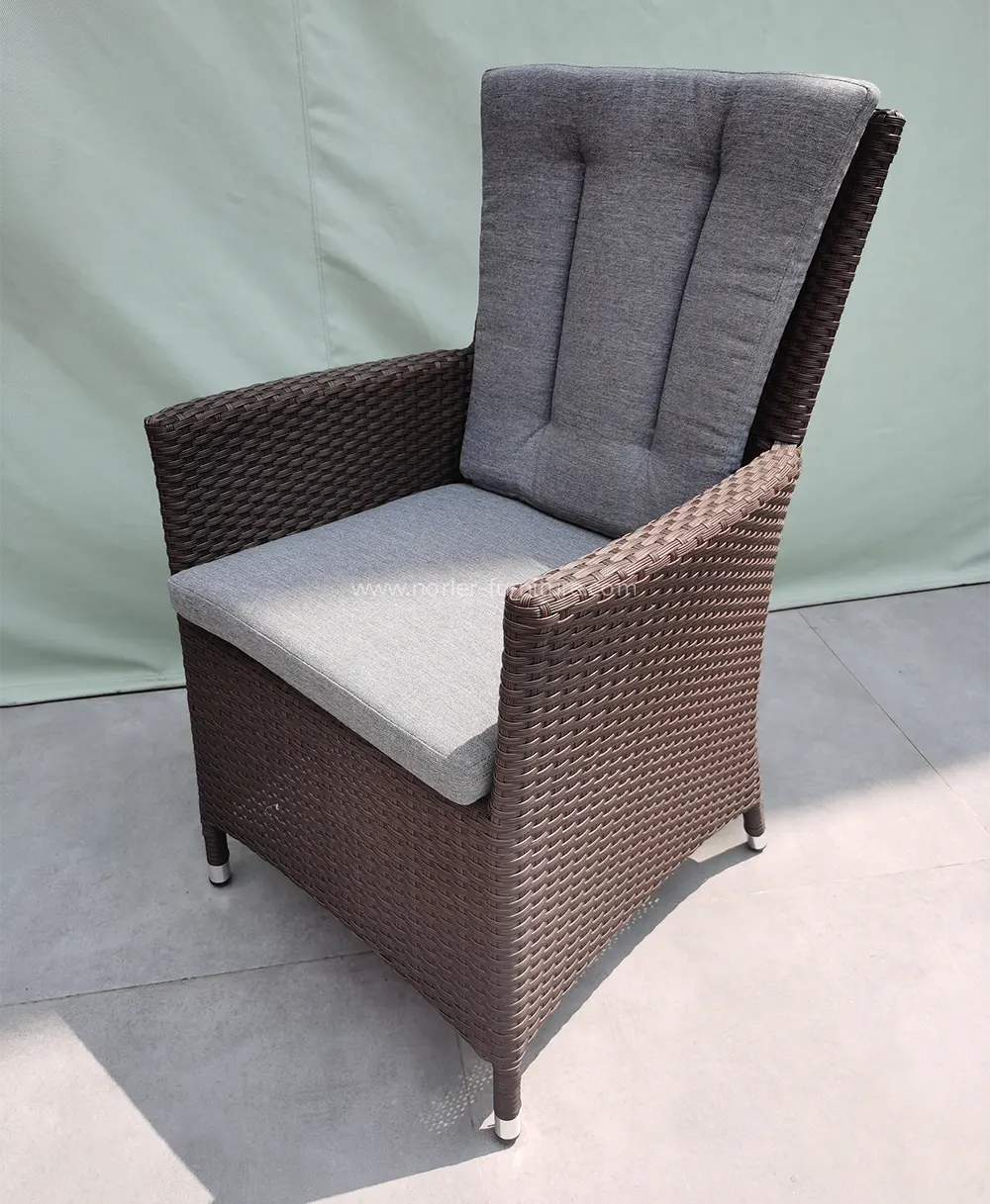Outdoor Modern Aluminum Frame PE Rattan Dining Set