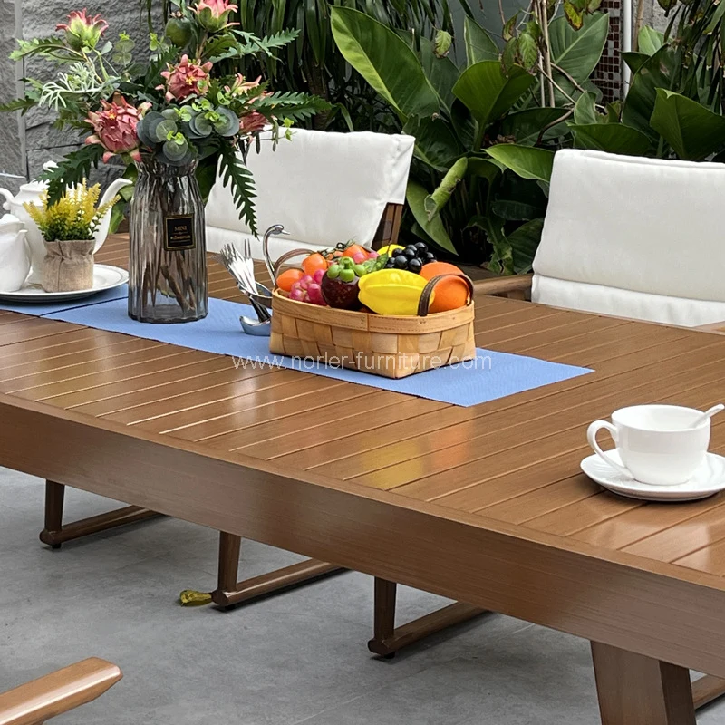 Nullam aluminium frame funem triclinium mensam et chairs